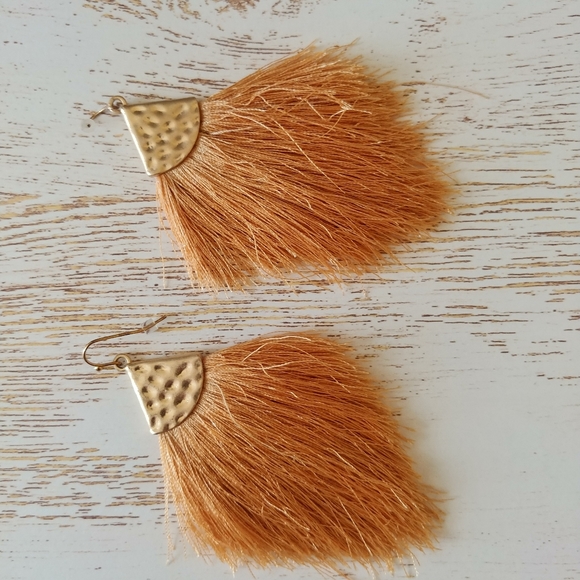 Bundle: Gold tassel and leopard earrings - Picture 9 of 11